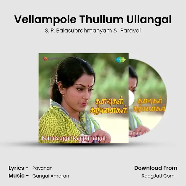 Vellampole Thullum Ullangal MP3 Song by S. P. Balasubrahmanyam Cover