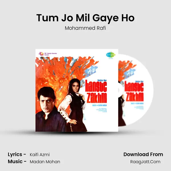 Tum Jo Mil Gaye Ho Cover