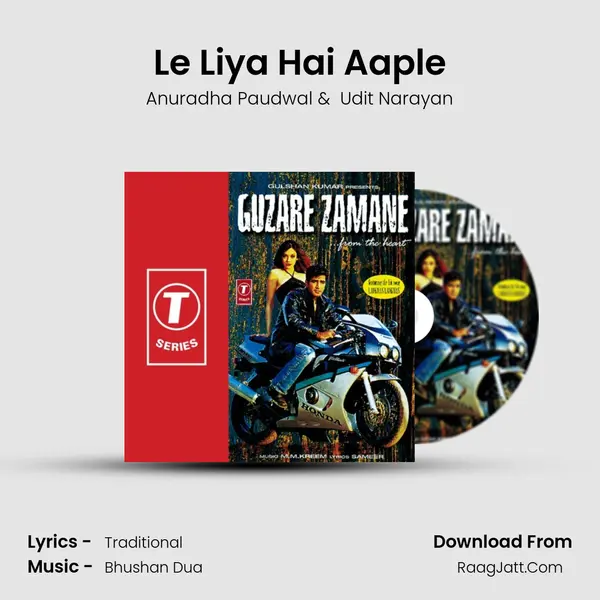 Le Liya Hai Aaple MP3 Song by Anuradha Paudwal Cover