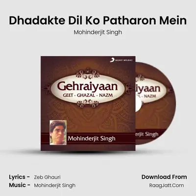 Dhadakte Dil Ko Patharon Mein MP3 Song by Mohinderjit Singh Cover