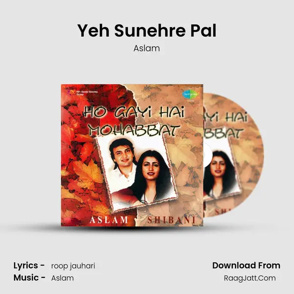 Yeh Sunehre Pal MP3 Song by Aslam Cover