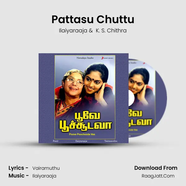 Pattasu Chuttu MP3 Song by Ilaiyaraaja Cover