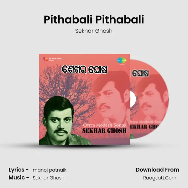 Pithabali Pithabali MP3 Song by Sekhar Ghosh Cover