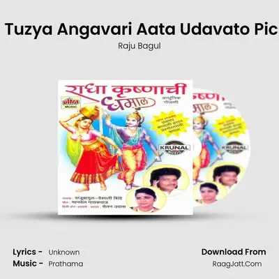 Radhe Tuzya Angavari Aata Udavato Pichakari MP3 Song by Raju Bagul Cover