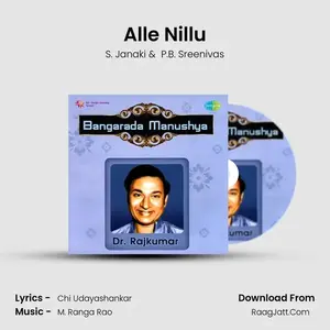 Alle Nillu Cover