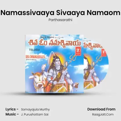 Siva Om Namassivaaya -Sthuthi Mala - Parthasarathi