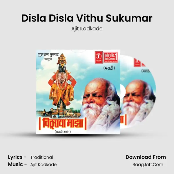 Disla Disla Vithu Sukumar MP3 Song by Ajit Kadkade Cover
