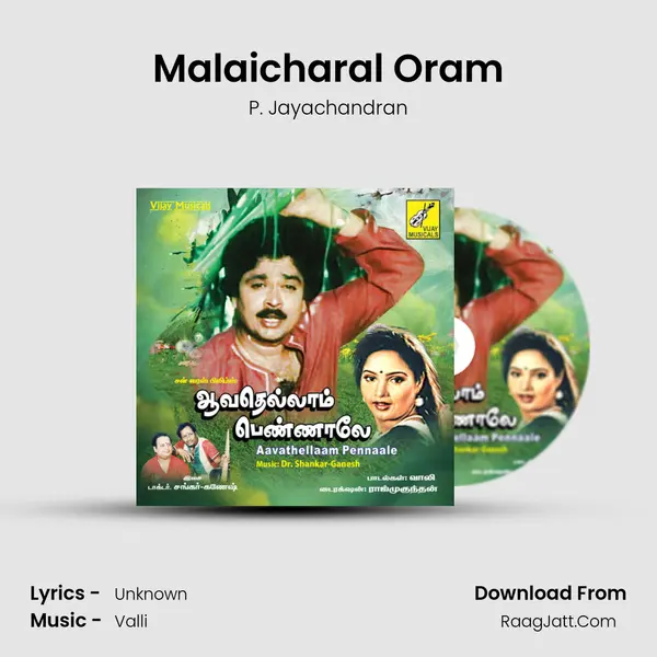 Malaicharal Oram MP3 Song by P. Jayachandran Cover