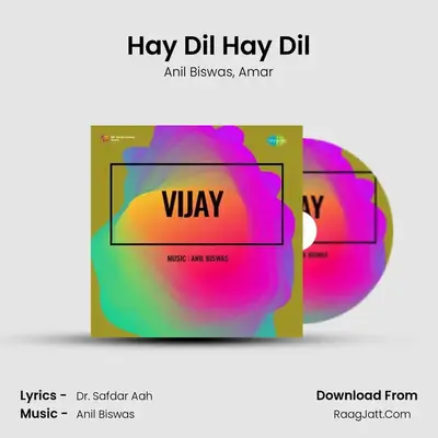 Hay Dil Hay Dil MP3 Song by Anil Biswas Cover