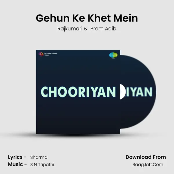 Gehun Ke Khet Mein MP3 Song by Rajkumari Cover