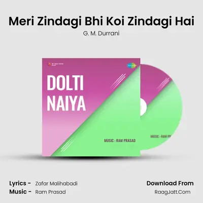 Meri Zindagi Bhi Koi Zindagi Hai MP3 Song by G. M. Durrani Cover