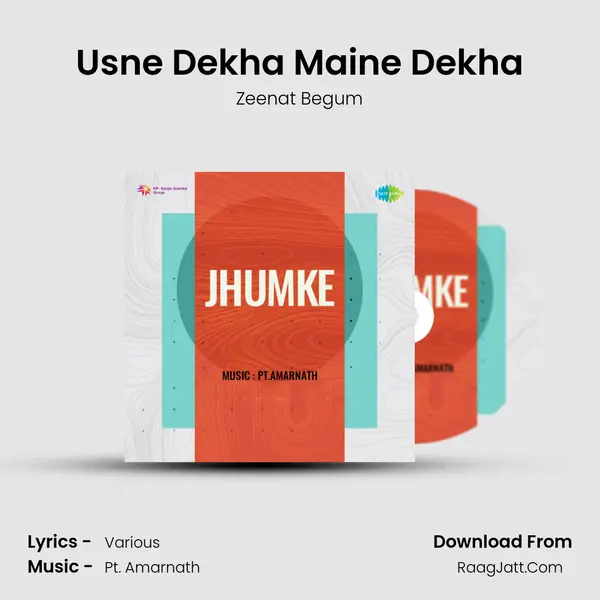 Usne Dekha Maine Dekha MP3 Song by Zeenat Begum Cover