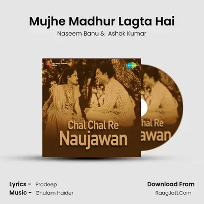 Mujhe Madhur Lagta Hai MP3 Song by Naseem Banu Cover