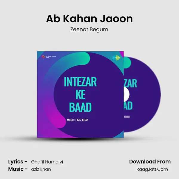 Ab Kahan Jaoon MP3 Song by Zeenat Begum Cover