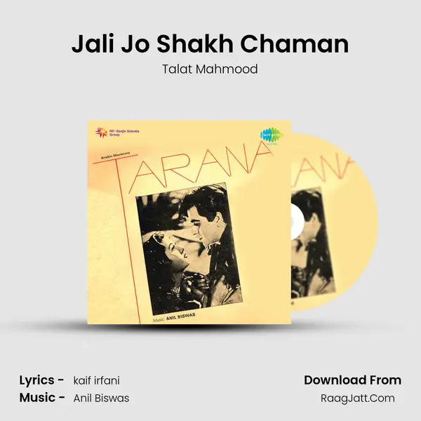 Jali Jo Shakh Chaman Cover