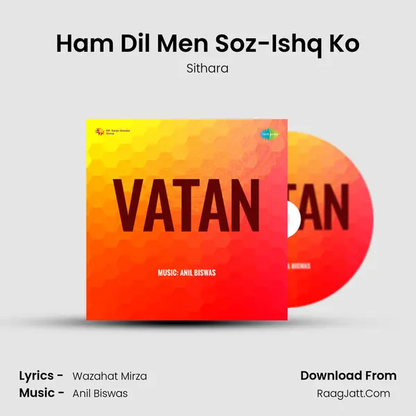 Ham Dil Men Soz-Ishq Ko Cover