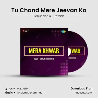 Tu Chand Mere Jeevan Ka MP3 Song by Zebunnisa Cover