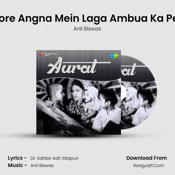 More Angna Mein Laga Ambua Ka Ped MP3 Song by Anil Biswas Cover