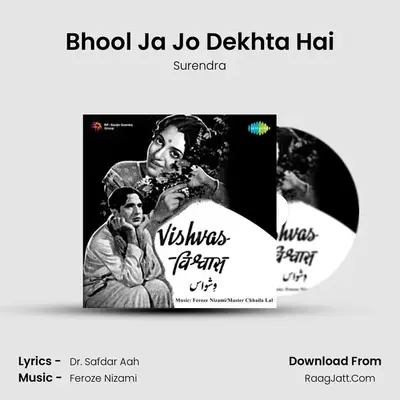 Bhool Ja Jo Dekhta Hai Cover