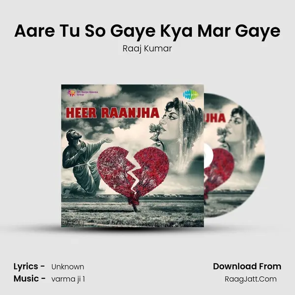 Aare Tu So Gaye Kya Mar Gaye MP3 Song by Raaj Kumar Cover