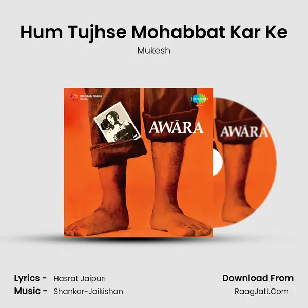 Hum Tujhse Mohabbat Kar Ke Cover