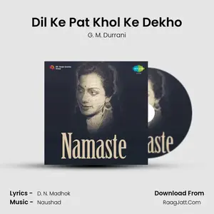 Dil Ke Pat Khol Ke Dekho Cover