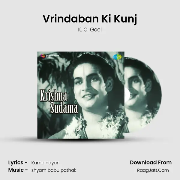 Vrindaban Ki Kunj MP3 Song by K. C. Goel Cover