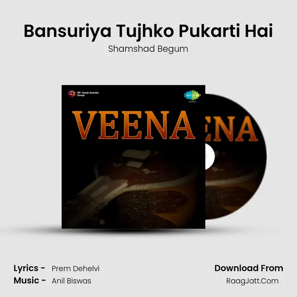 Bansuriya Tujhko Pukarti Hai MP3 Song by Shamshad Begum Cover