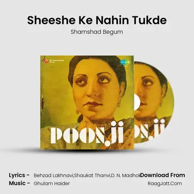 Sheeshe Ke Nahin Tukde Cover
