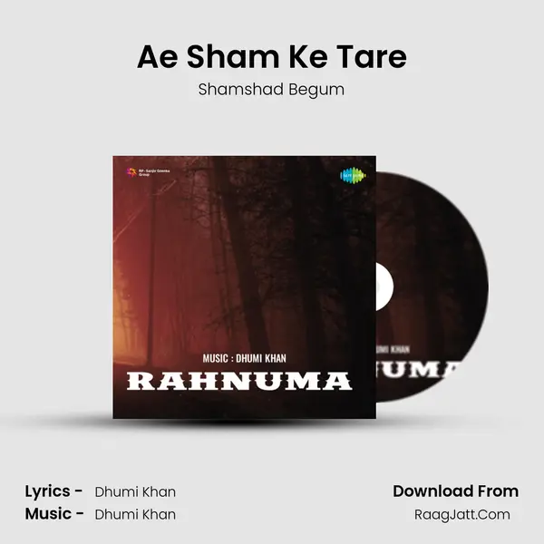 Ae Sham Ke Tare MP3 Song by Shamshad Begum Cover