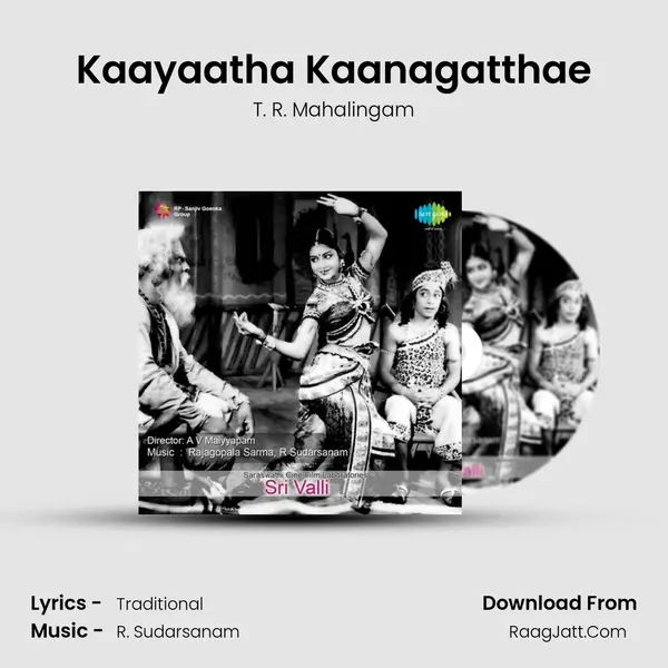Kaayaatha Kaanagatthae MP3 Song by T. R. Mahalingam Cover