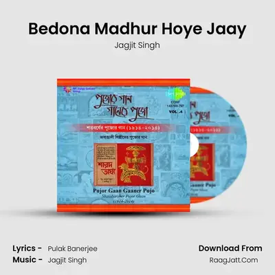 Bedona Madhur Hoye Jaay MP3 Song by Jagjit Singh Cover