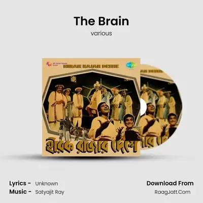 The Brain MP3 Song by various Cover
