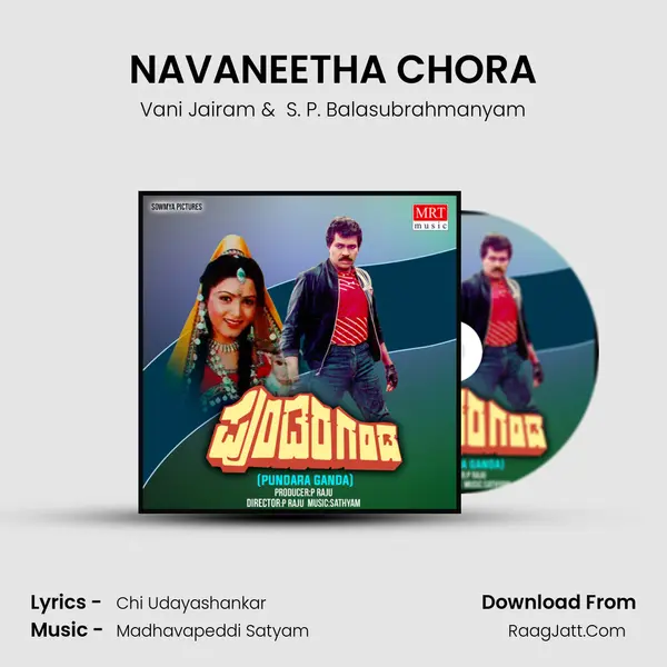 NAVANEETHA CHORA MP3 Song by Vani Jairam Cover