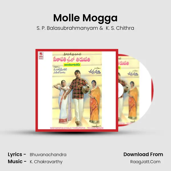 Molle Mogga MP3 Song by S. P. Balasubrahmanyam Cover