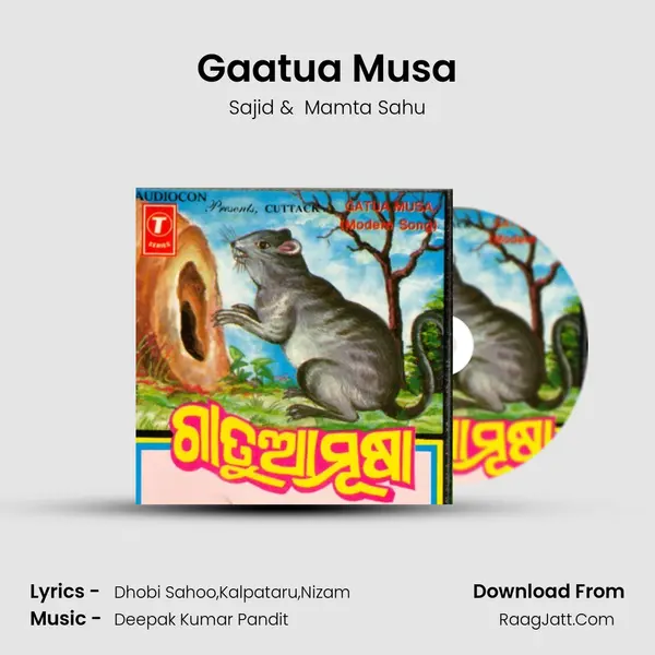Gaatua Musa MP3 Song by Sajid Cover