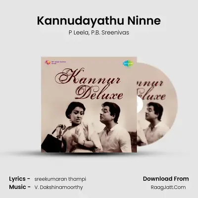 Kannudayathu Ninne MP3 Song by P Leela Cover