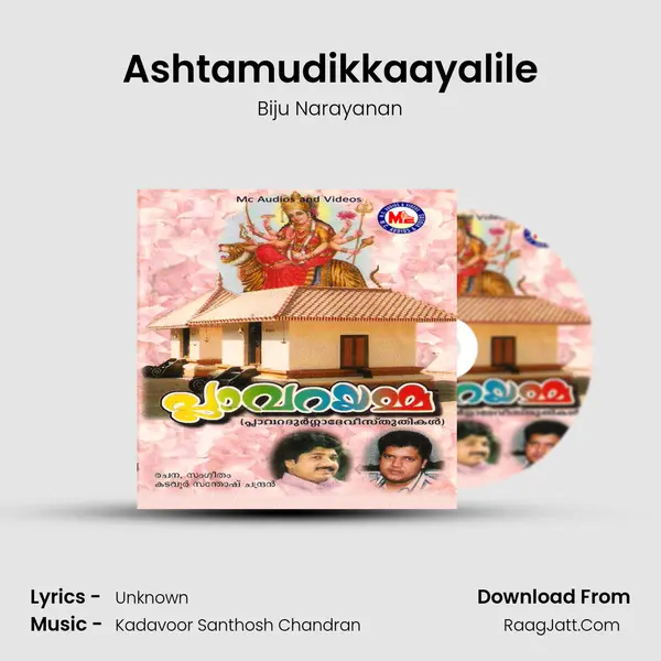 Ashtamudikkaayalile MP3 Song by Biju Narayanan Cover