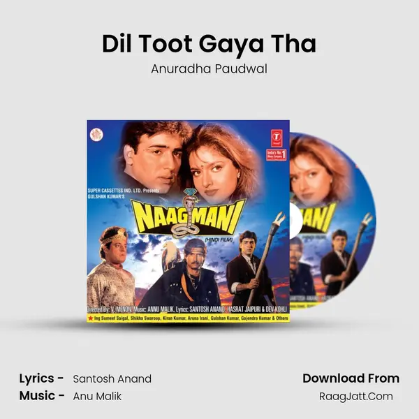 Dil Toot Gaya Tha MP3 Song by Anuradha Paudwal Cover