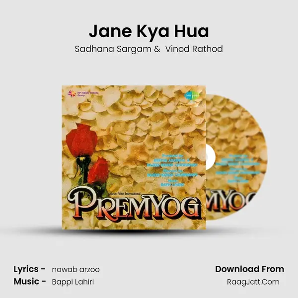 Jane Kya Hua MP3 Song by Sadhana Sargam Cover