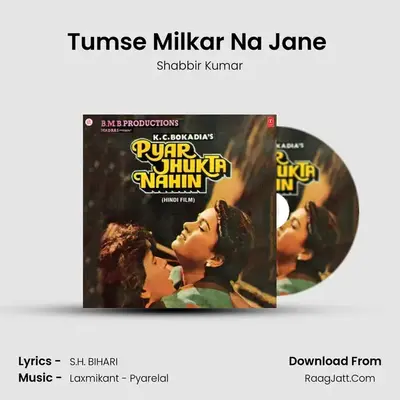 Tumse Milkar Na Jane (Male Version) MP3 Song by Shabbir Kumar Cover