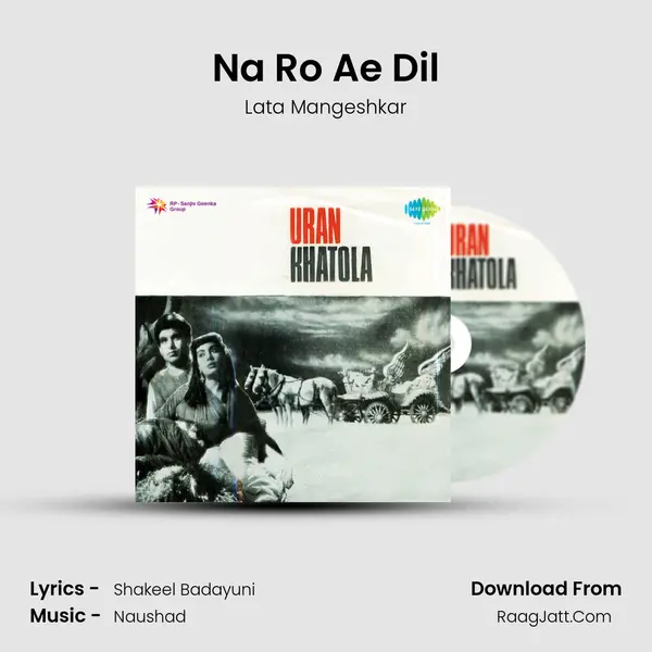 Na Ro Ae Dil MP3 Song by Lata Mangeshkar Cover