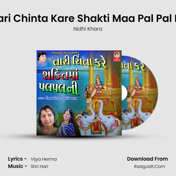 Tari Chinta Kare Shakti Maa Pal Pal Ni MP3 Song by Nidhi Khara Cover