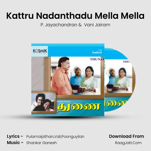 Kattru Nadanthadu Mella Mella MP3 Song by P. Jayachandran Cover