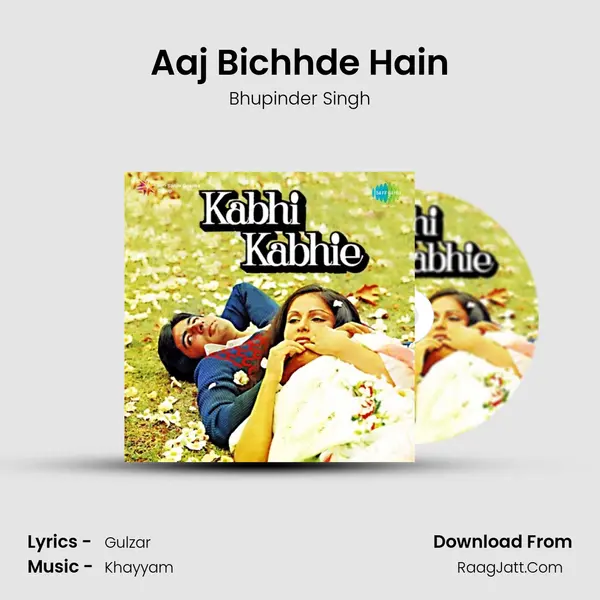 Aaj Bichhde Hain Cover