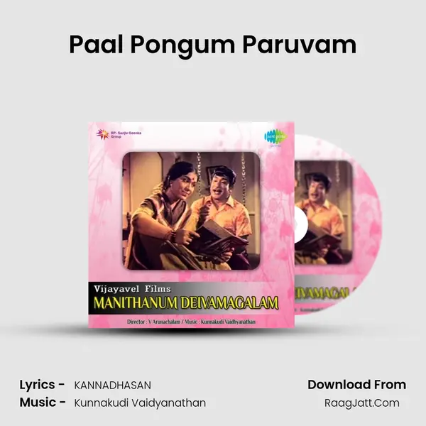 Paal Pongum Paruvam MP3 Song by  Cover