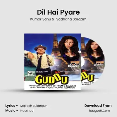 Dil Hai Pyare MP3 Song by Kumar Sanu Cover