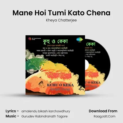 Mane Hoi Tumi Kato Chena mp3 song