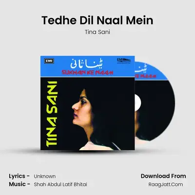 Tedhe Dil Naal Mein MP3 Song by Tina Sani Cover