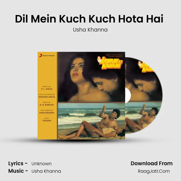 Dil Mein Kuch Kuch Hota Hai (Violin Instrumental) MP3 Song by Usha Khanna Cover